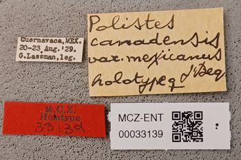 Media type: image;   Entomology 33139 Aspect: labels